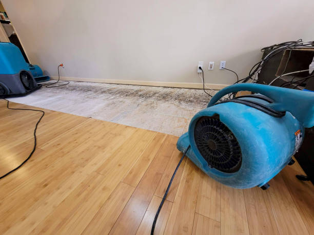 Professional Water Damage Repair technician working in Marty, SD
